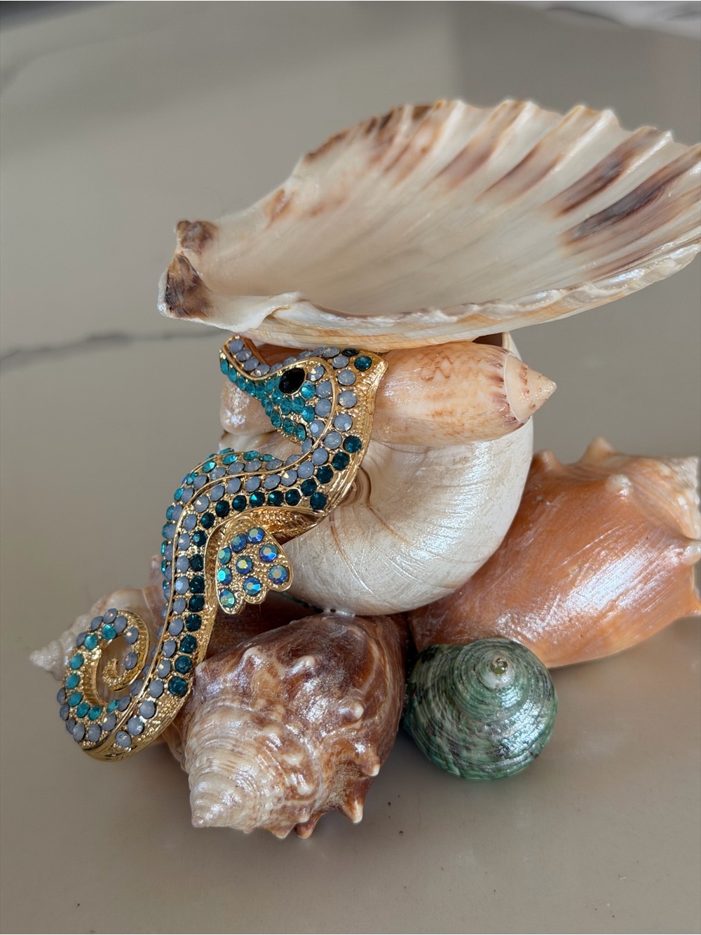 Seashell Decorative Accent Bowl - Natural Brown and Cream - Picture 2 of 7